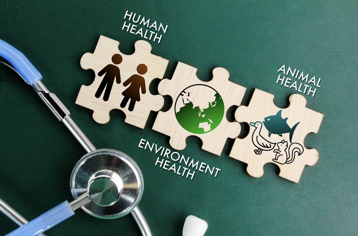 Mémento Paris Lutte contre l'antibiorésistance la nécessité d'une